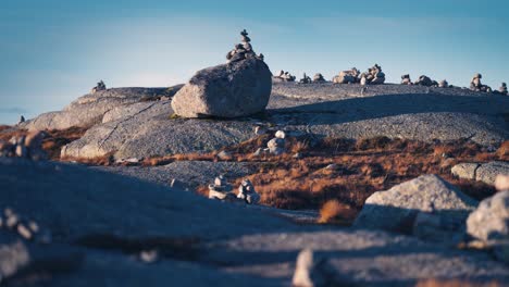 Ein-Steingarten-In-Der-Kargen-Nordischen-Landschaft