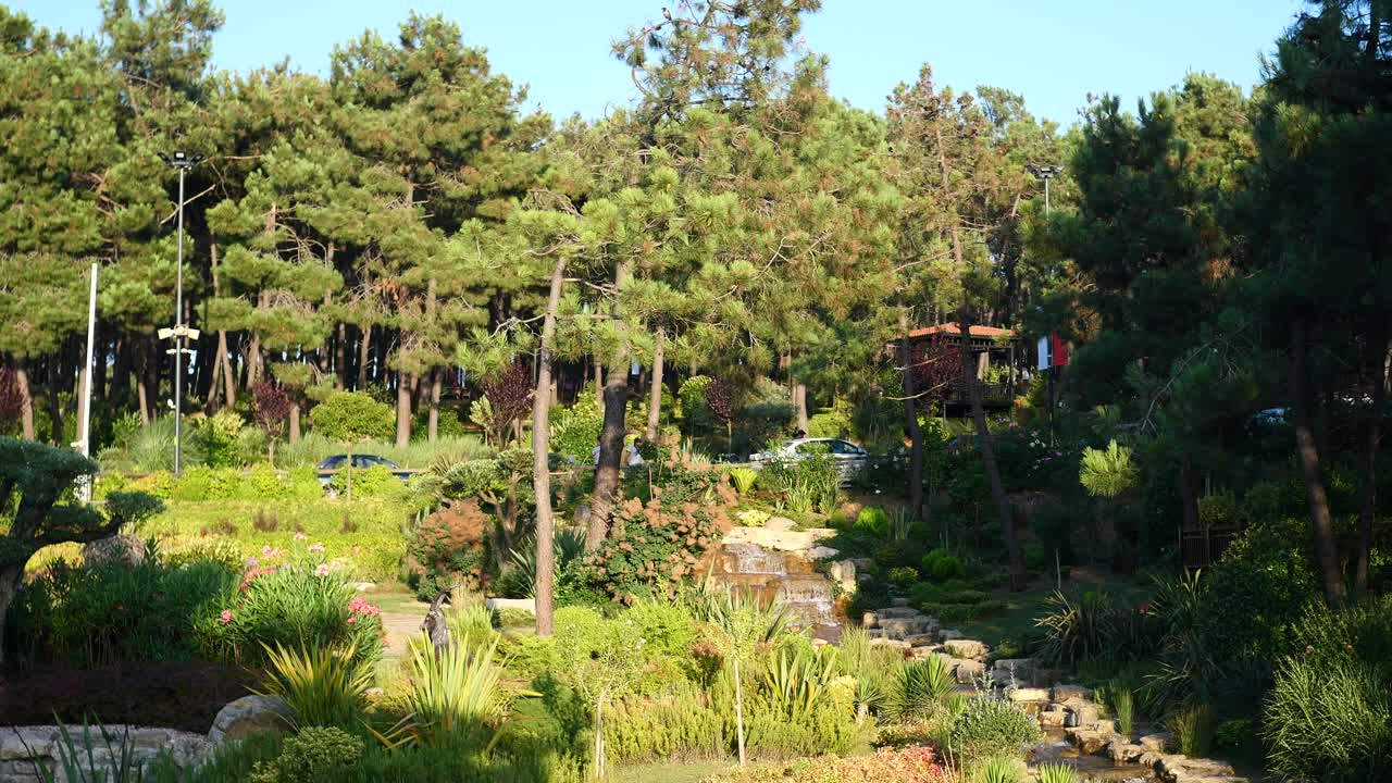 parque escénico con atracción acuática y exuberante paisajismo