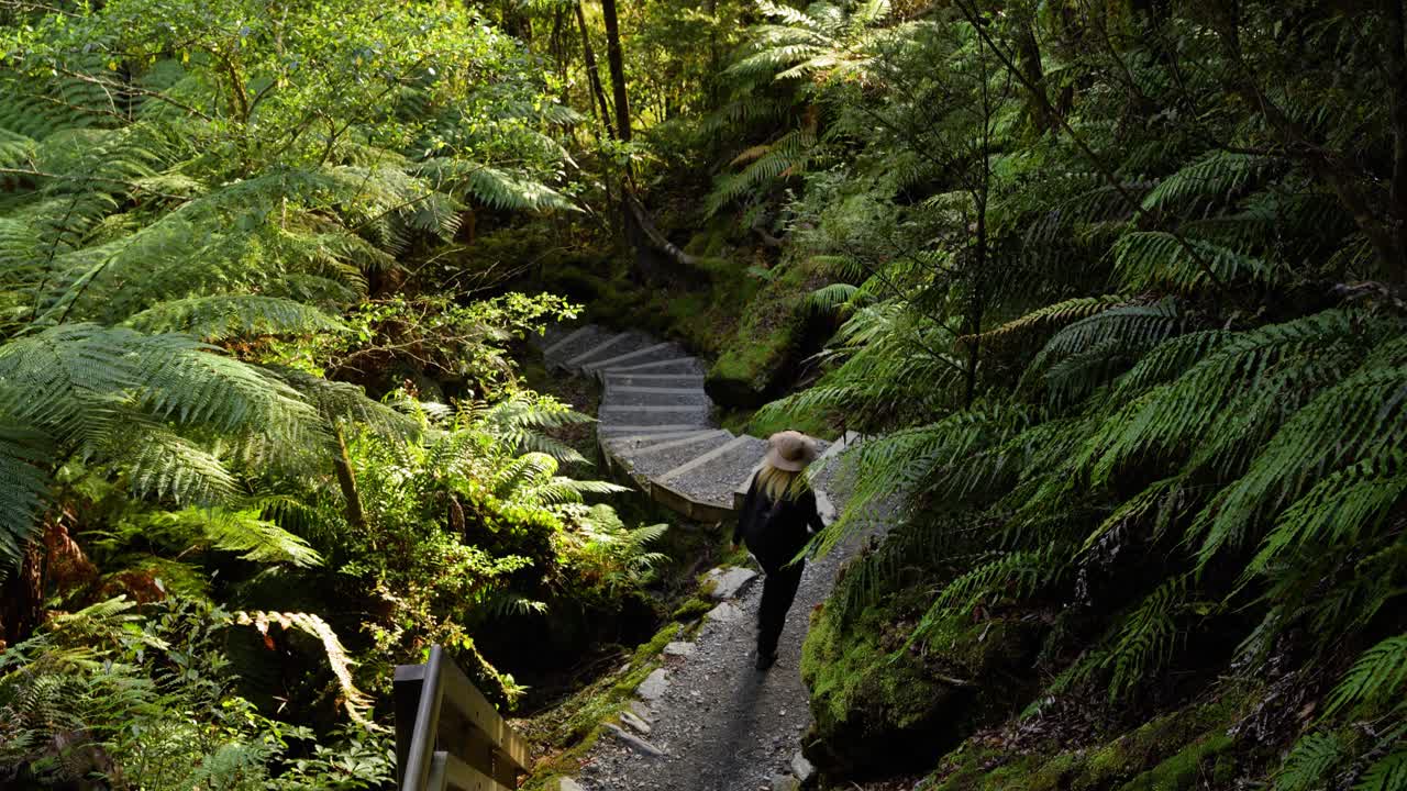 Woman Hiking on a Forest Trail with Stone Steps