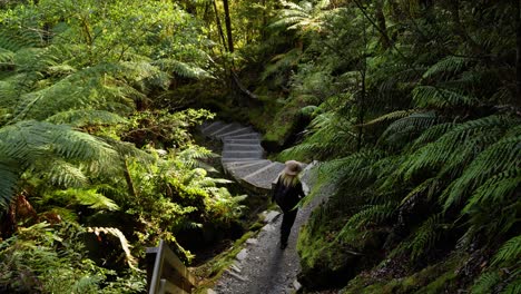 woman hiking on a forest trail with stone steps