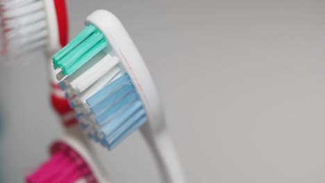 close-up of colorful toothbrushes