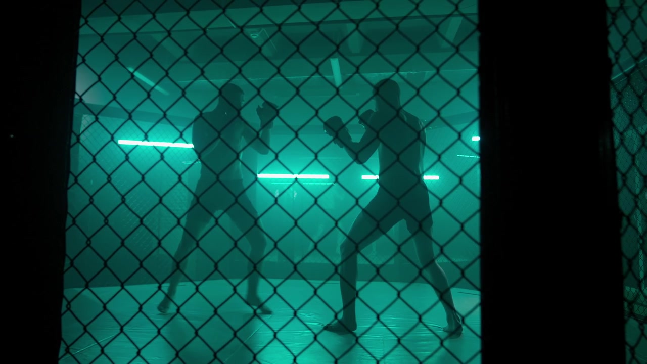 Dramatic Silhouette of Fighters Training in a Green Lit Cage