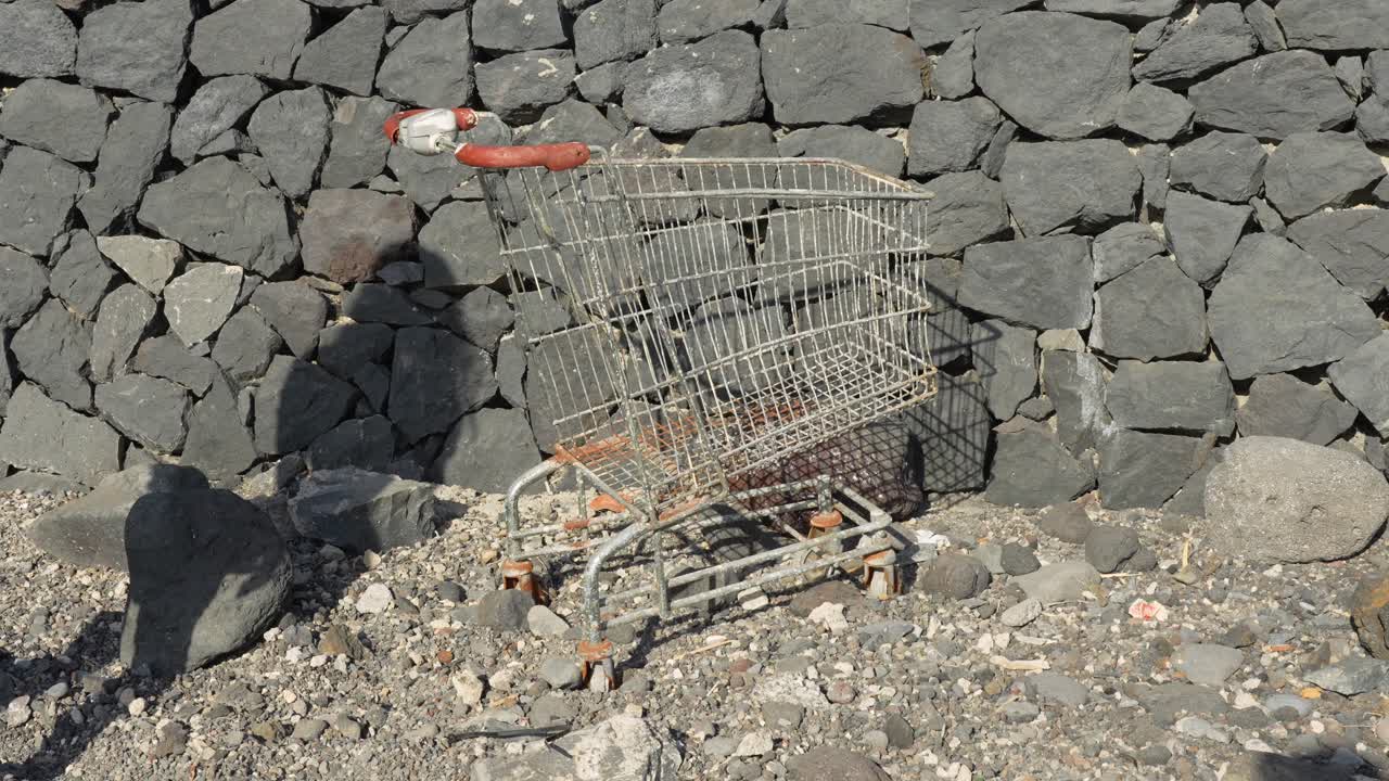 페블리 비치 근처에 버려진 오래된 녹은 쇼핑 카트를 발견한 여성