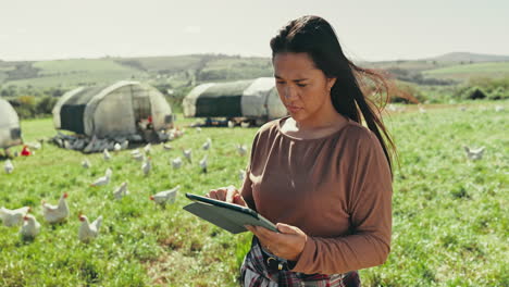 Thinking,-countryside-and-a-woman-with-a-tablet