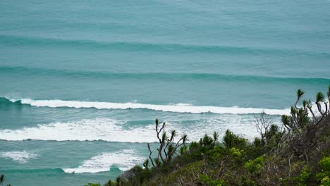 beautiful turquoise seascape with wild sea pineapples in foreground