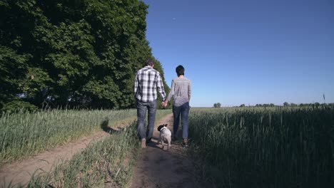 couple in love walk the dog