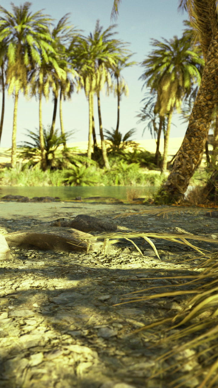 Exploring a tranquil oasis surrounded by vibrant palms and golden sands