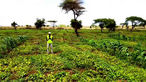 Ländliche-Landwirtschaftliche-Betriebe-In-Kenia