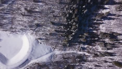 Winter-aerial-scene-looking-down-at-snow-and-trees