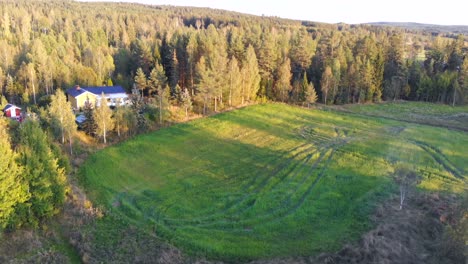 Drone-footage-over-small-green-field-in-Sweden