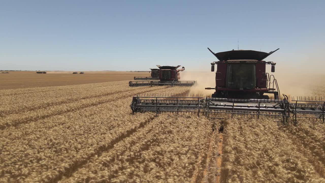 Beautiful aerial view of crop Harvesting in Western Australia