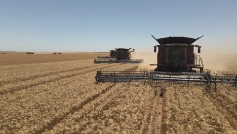 beautiful aerial view of crop harvesting in western australia