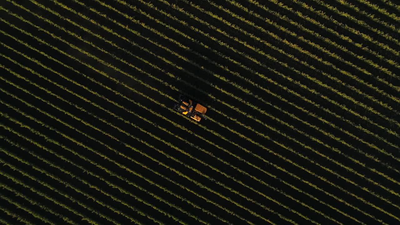 dolly sobre la cabeza subida de un tractor recortador de vid de viñedo amarillo