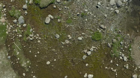 Sanft-Fließender-Süßwasserfluss-Mit-Kleinen-Stromschnellen,-Saskatchewan,-Kanada