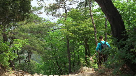 sporty man with backpack and trekking poles running down steep mound in spring forest - wide slow motion