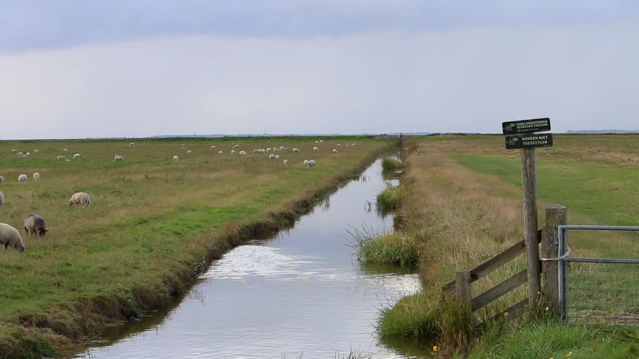 zanja de drenaje que atraviesa pastizales cerca del mar de wadden