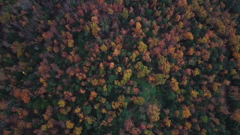 aerial footage of the beautiful forest with autumn colors in the catalan mountains-2
