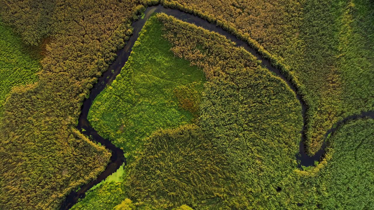 вид с воздуха на лесной массив 3