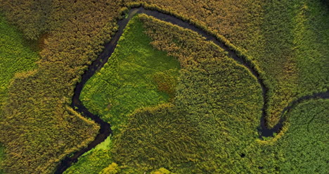 Vista-Aérea-View-Of-Forest-Woods-3