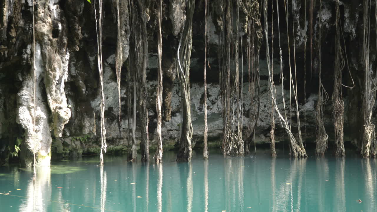 Cenote 07