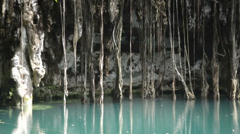 Cenote-07