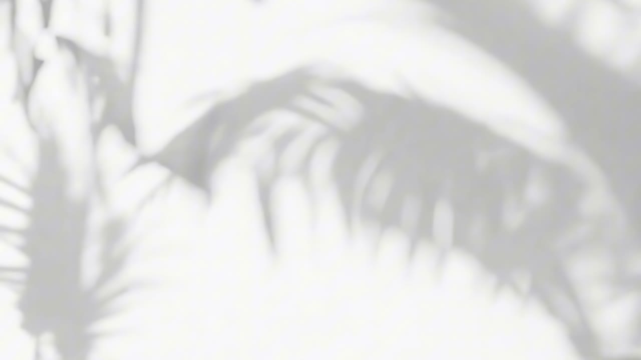 Soft-focus video of palm leaf shadows on a white wall, captured from a low angle, creating a serene