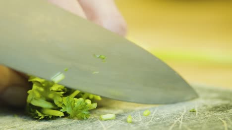 cutting green parsley with sharp nife on grey chopping board, detail