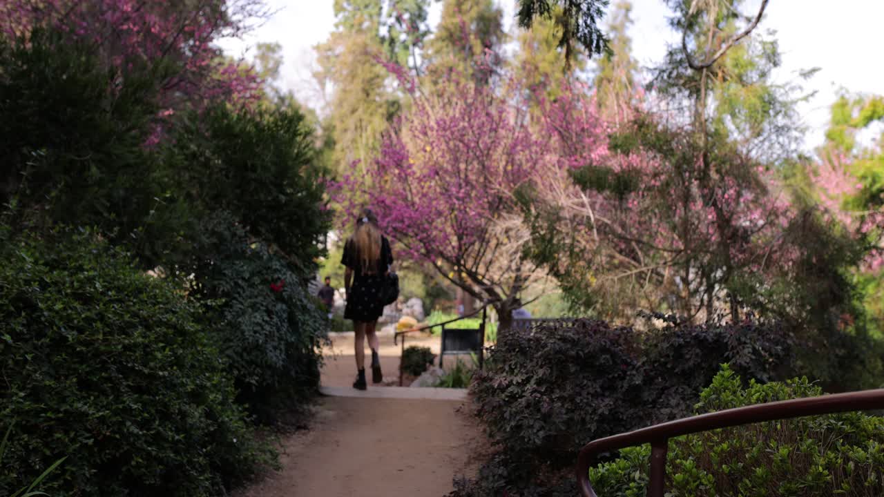 mujer joven caminando sola por el hermoso jardín botánico de vacaciones