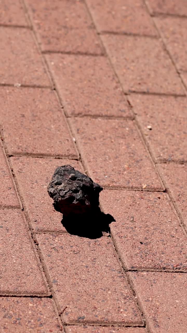 Una roccia rotola lungo un sentiero pavimentato