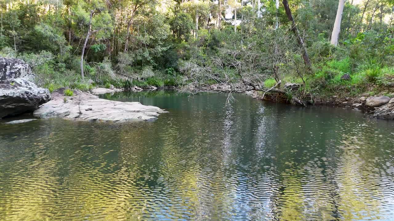 A tranquil drone flyover captures a pristine creek surrounded by lush greenery and gum trees in Gold Coast, Australia