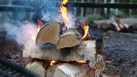 campfire in slow motion with logs of wood catching on fire by the wild flames