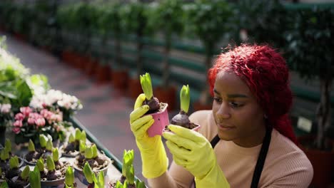 multiethnic woman florist holding plants in greenhouse on the shelf