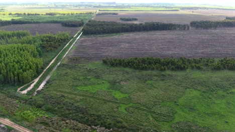 aerial view of agricultural deforested fields and lands of forest in a rural area.