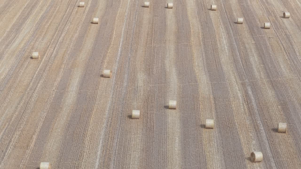 Aerial video of a large agricultural field after harvest, with evenly spaced round hay bales scattered across the golden-brown landscape
