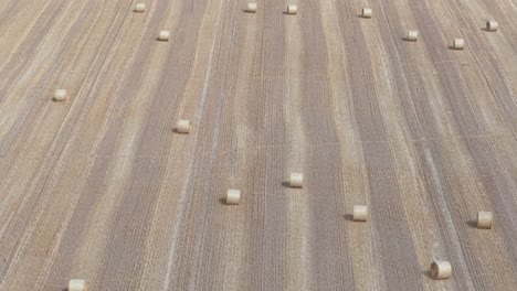 aerial video of a large agricultural field after harvest, with evenly spaced round hay bales scattered across the golden-brown landscape