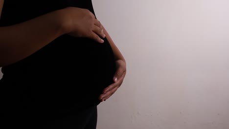mujer embarazada acariciando su vientre, parada aislada en blanco con espacio de copia