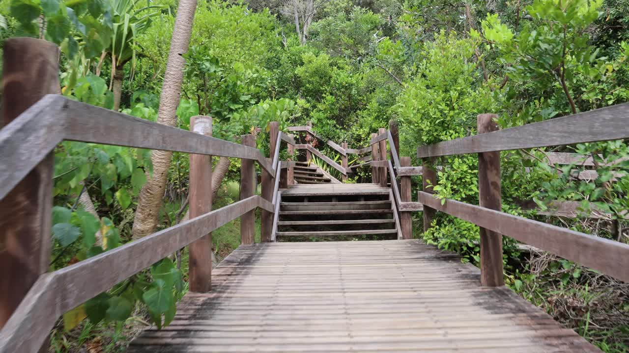 울창 한 숲 에 있는 나무 로 된 산책로 를 따라 진보적 인 산책