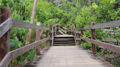 progressive walk along a wooden boardwalk in dense forest