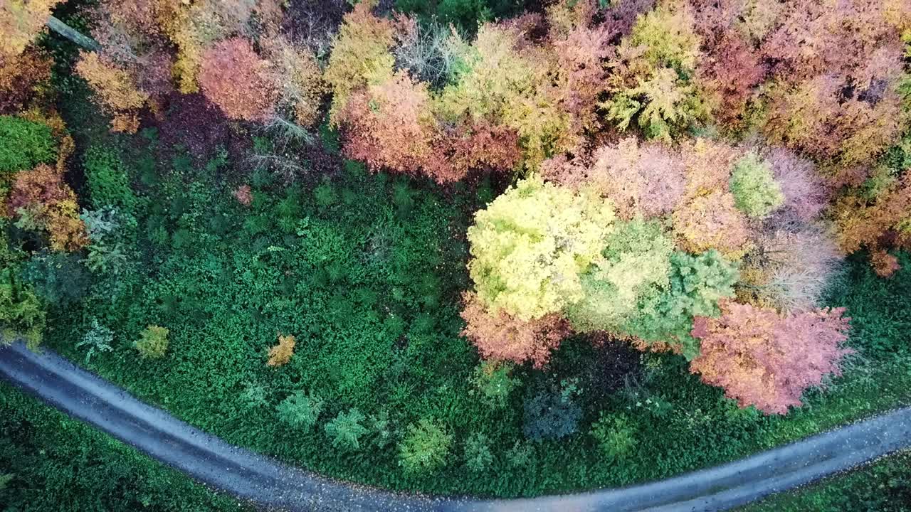 Ascending slowly over woodland path and tree tops in fall during the day, odenwald Germany.
