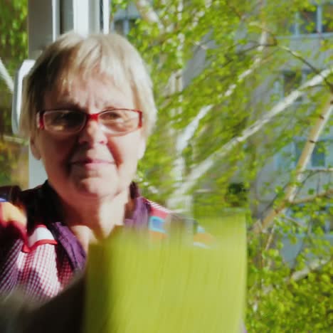 Senior-Woman-With-A-Smile-Doing-Housework---Washes-The-Window