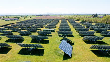 rows of solar panels in a vast green field under a clear blue sky