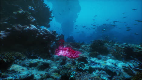 stunning underwater coral reef scene