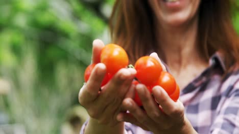 mujer madura sosteniendo tomates 4k