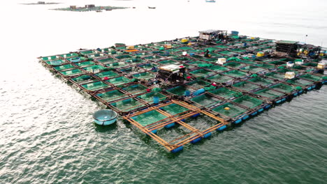 Luftaufnahme-Fischfarmen,-Die-An-Der-Vietnamesischen-Küste-Auf-Dem-Meer-Schwimmen,-Fischindustrie