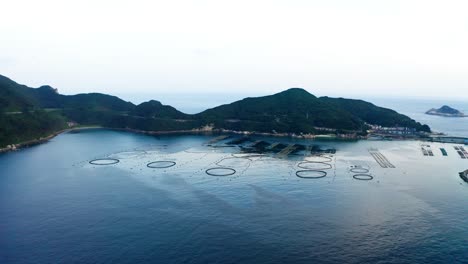 the aerial view of kochi