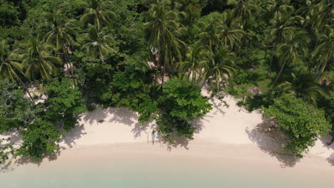 tropical island beach with lush vegetation