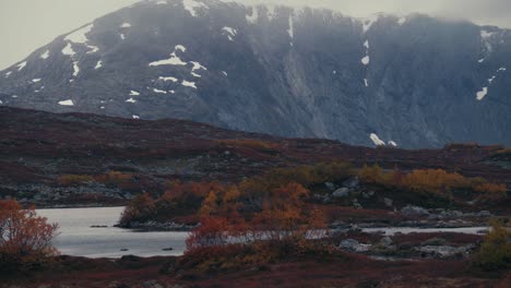 paisaje otoñal en dovrefjell, noruega con montañas nevadas en el fondo