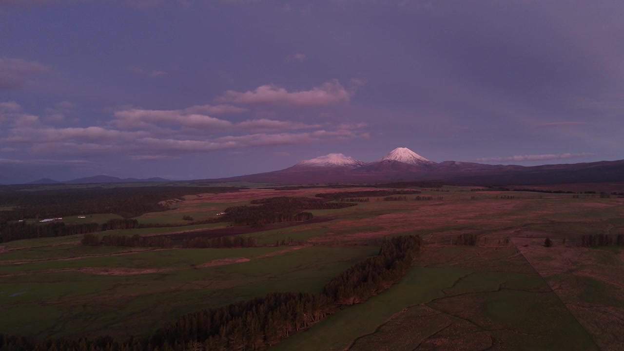 Mount Ruapehu's snow-capped volcanic peaks glow purple at dusk above patchwork farmland stretching toward tree-lined ridge near Tongariro, North Island, New Zealand hills. Aerial drone view