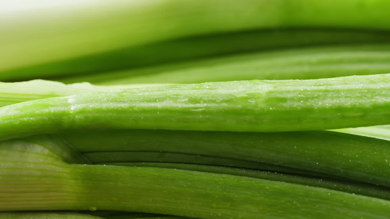 Close-up of Fresh Green Onions