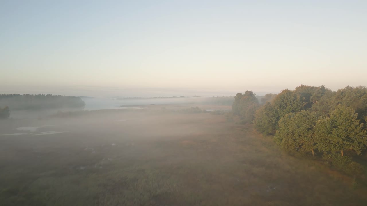 숲 과 호수 와 함께 안개 가 가득 한 아침 풍경